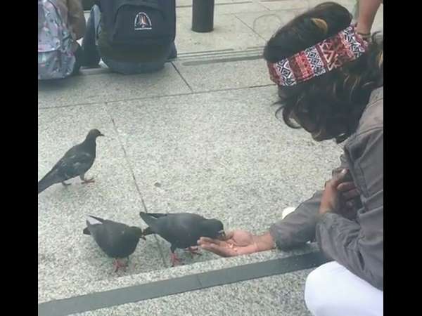 Karunada Chakravarthy, Dr. Shivarajkumar