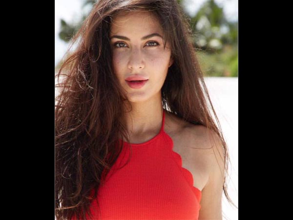 Katrina's Work Front