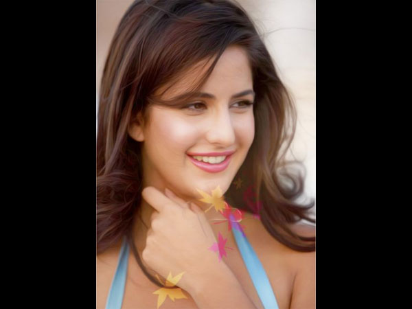 The Original Idea...