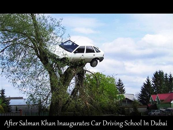 Driving School
