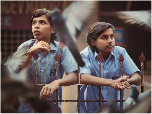 All India Box Office Collections