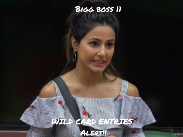 3 Commoners To Join Hina Khan In The Secret Room! 3 Commoners To Join Hina Khan In The Secret Room!