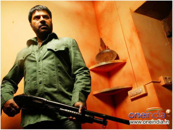 A Cult Fan Following..