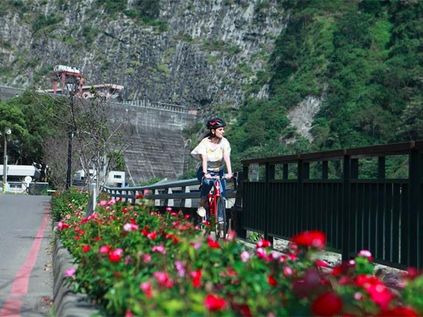 Cyclist Girl Cyclist Girl