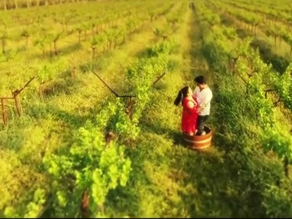 Bharti & Harsh Crushing Grapes