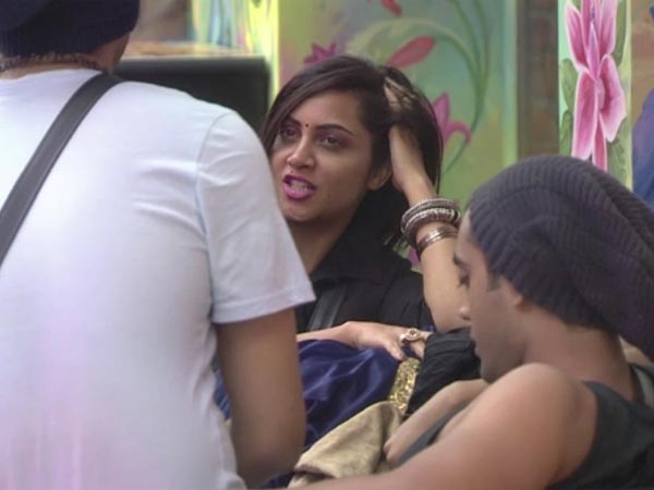 Unseen Video 1: Arshi Chilling With Priyank, Vikas & Luv