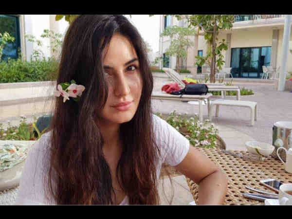 What Makes Katrina Take Up A Project? What Makes Katrina Take Up A Project?