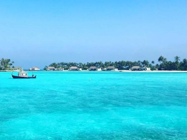 They Had A Gala Time