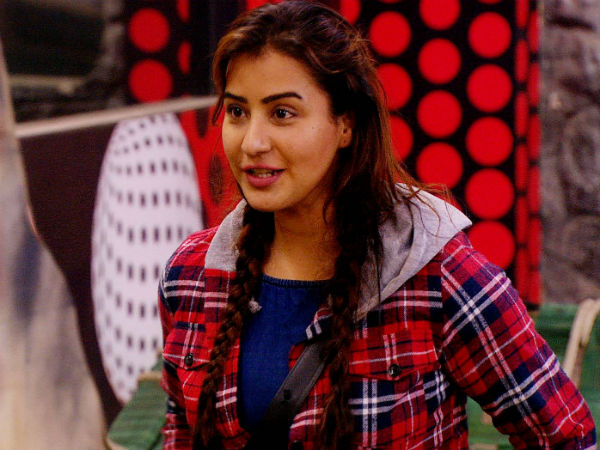 Shilpa Would Have Been Right Regarding Vikas’ Elimination …