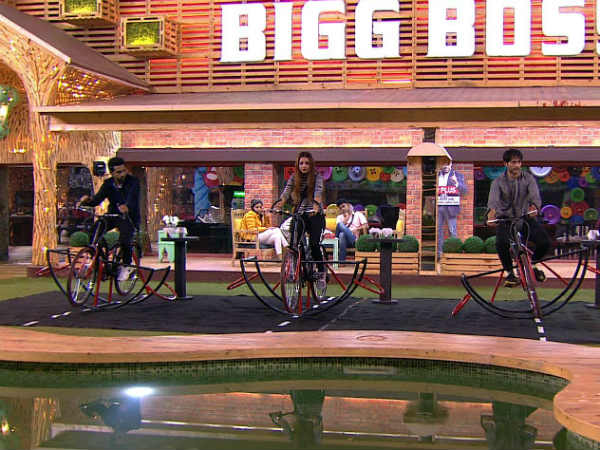 Bigg Boss Has Changed Their Lives Completely