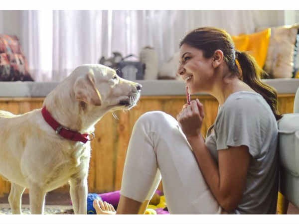 Before You Run Your Horses Wild