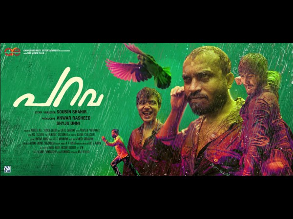 The Stunner In Parava