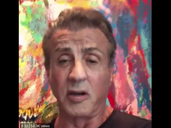 Sylvester Stallone In Race 3?