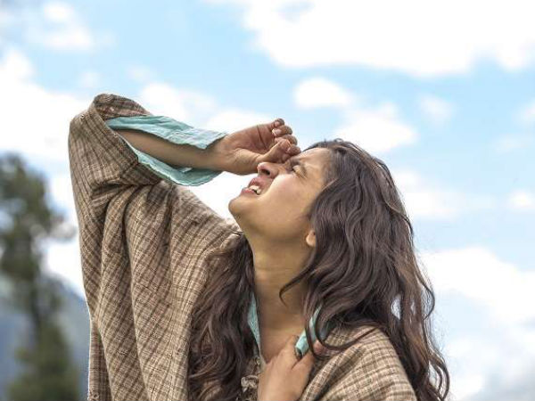 OUR SECOND MEET! OUR SECOND MEET!