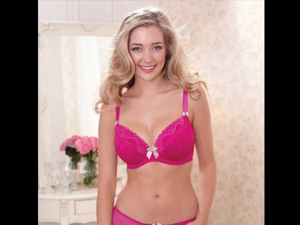 Pink Flamingo Sings Aerosmith