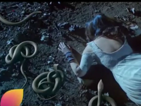 Naagin Fans Naagin Fans