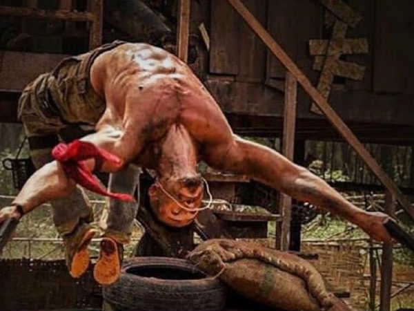 B-town Is All Praises For Tiger