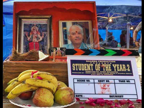 Lights, Camera And Action