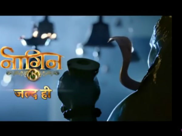 New Cast Of Naagin 3 New Cast Of Naagin 3