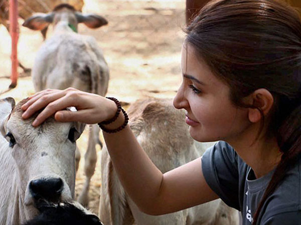 Getting Inspired! Getting Inspired!