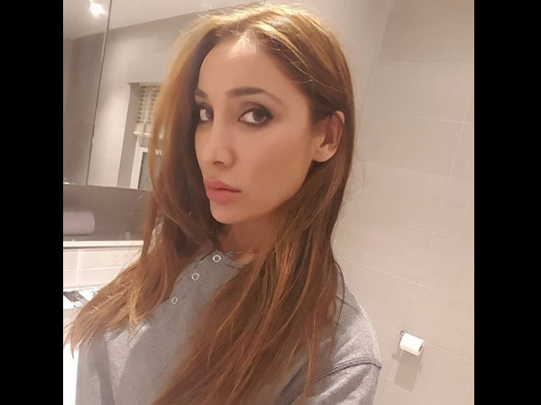 Sofia Found Missing Property Papers In Vlad’s Bag