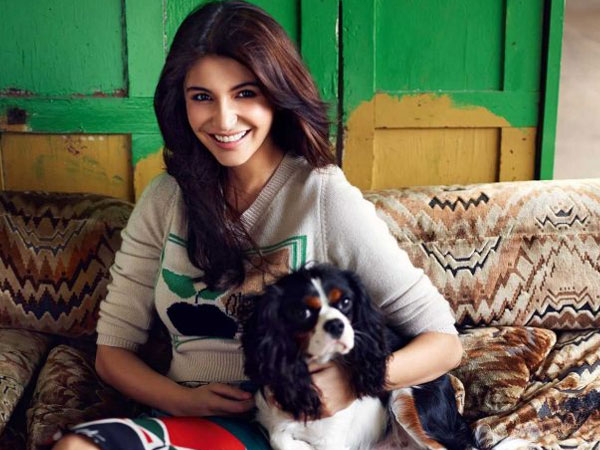 On The Work Front On The Work Front