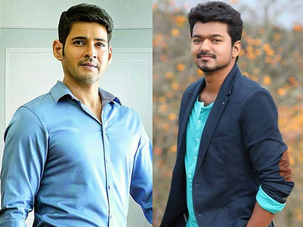 Vijay In Bharat Ane Nenu Remake?
