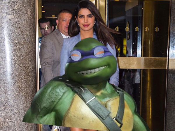 Teenage Mutant Ninja Turtle