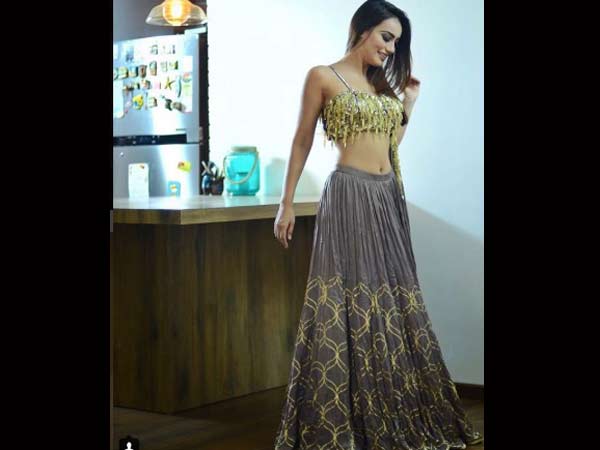 Interesting Facts About Surbhi Interesting Facts About Surbhi