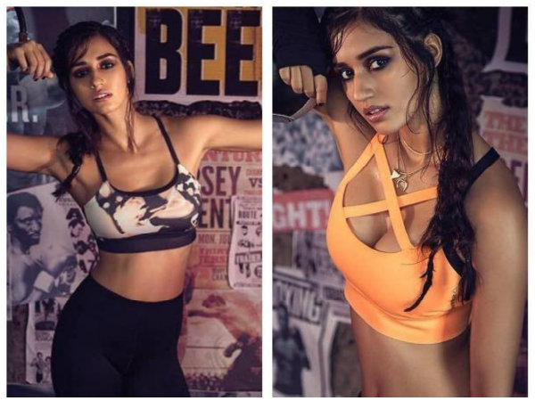 What Is Disha Patani's Role?