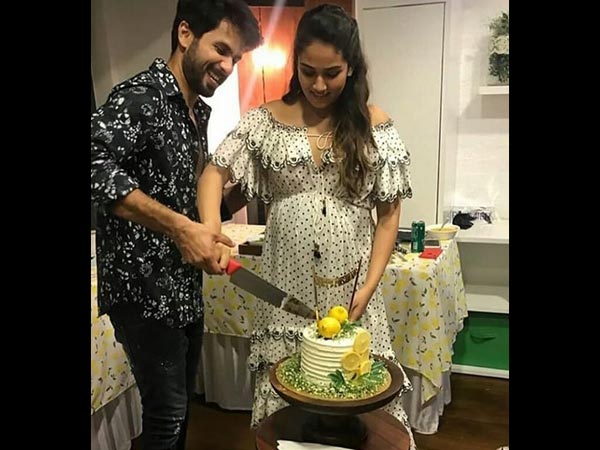 Cuteness All Over Cuteness All Over