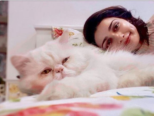 Kitty Poses For The Camera