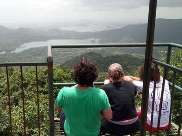 They Are Celebrating A Birthday