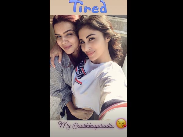 Are They Jet Lagged? 