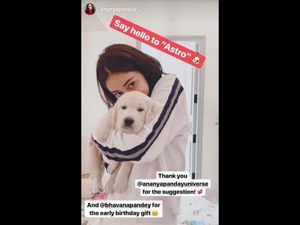 Meet Astro! Meet Astro!