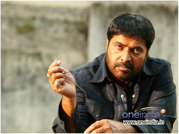 The Popularity Of The Movie