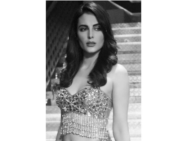 Mandana Wants To Start Afresh Mandana Wants To Start Afresh