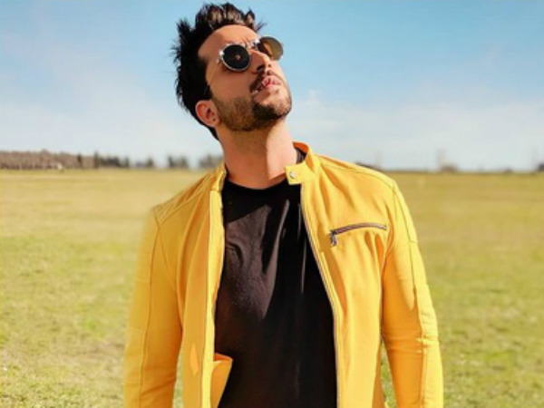 Naagin 3: Aly Goni To Enter The Show