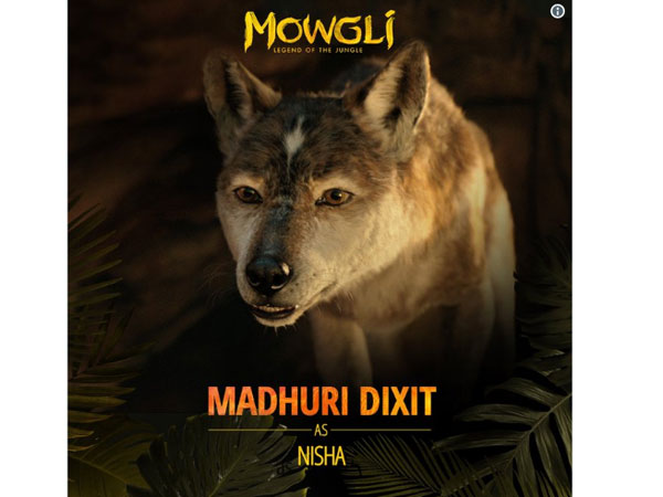 Madhuri As Nisha Madhuri As Nisha