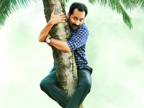 Saturday Collections