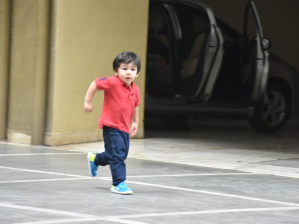 All Tim Wants To Do Is Go Play! All Tim Wants To Do Is Go Play!