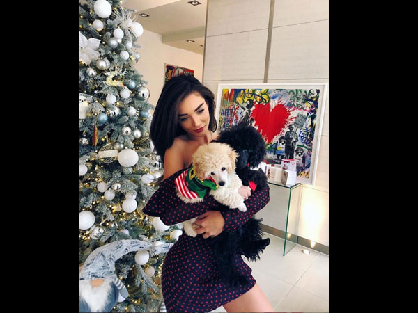 Who Is Amy Jackson's Fiancé George Panayiotou?