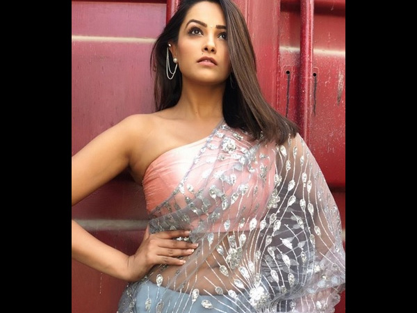 Anita Rubbishes Surrogacy Rumours