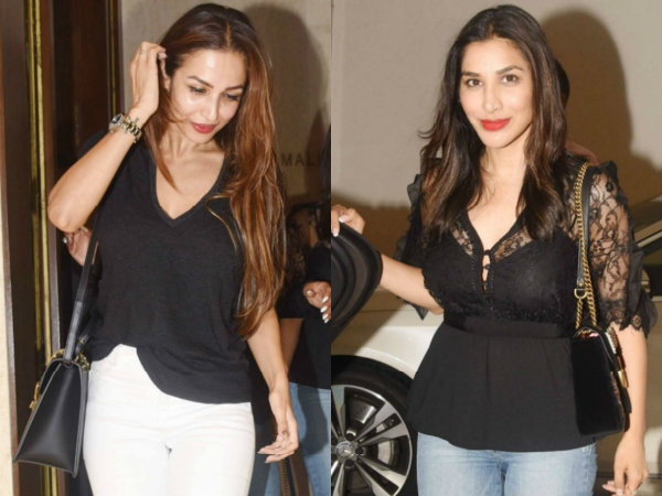 Sophie Choudry Agrees With What Malaika Arora Has To Say...