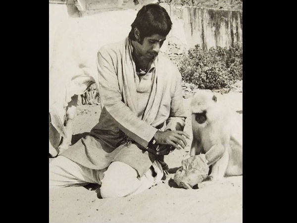 One With ‘Langoor’ One With ‘Langoor’