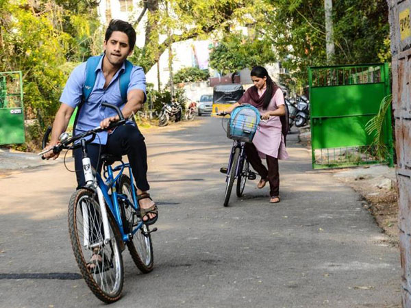 Too Cute To Be Missed