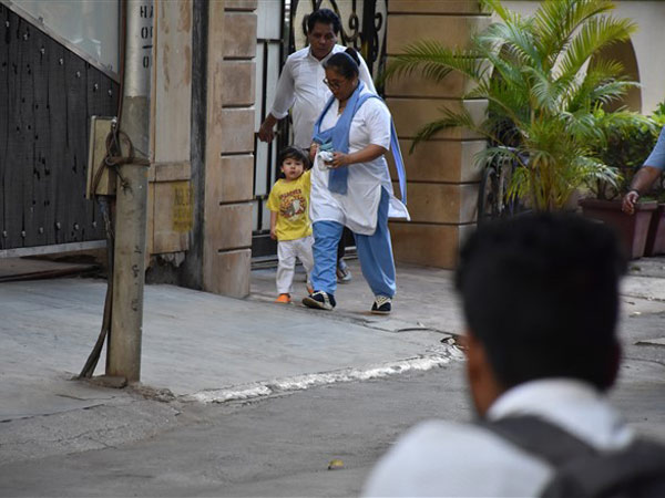 Cutie Pie Taimur Being Taken For A Walk