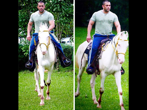 Panvel Farmhouse – Rs 80 Crores