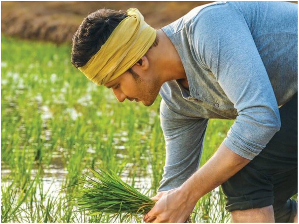 At Chennai Box Office