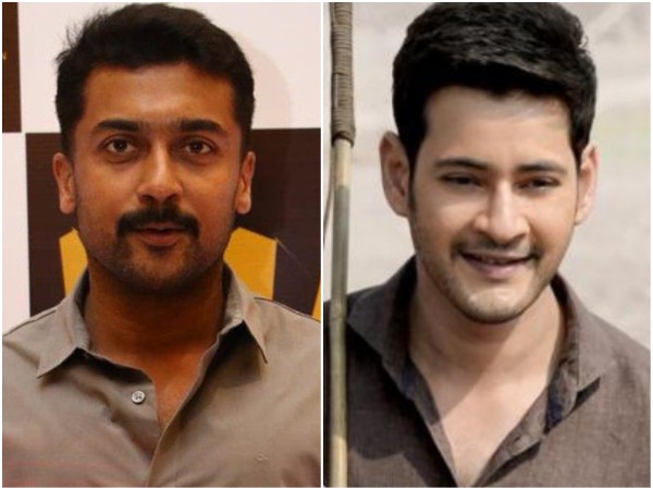 Suriya Talks About Maharshi: His Words Would Give Goosebumps To Mahesh Babu Fans! Suriya Talks About Maharshi: His Words Would Give Goosebumps To Mahesh Babu Fans!